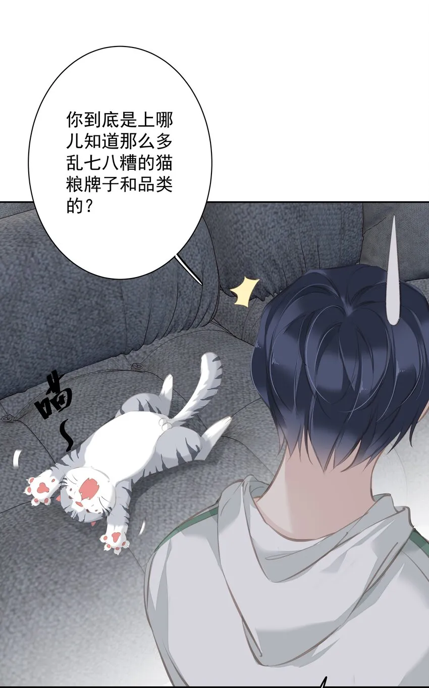 044众筹猫粮 第3页