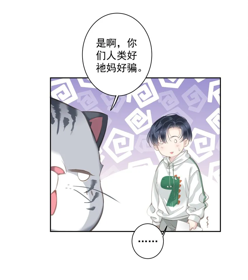 044众筹猫粮 第5页