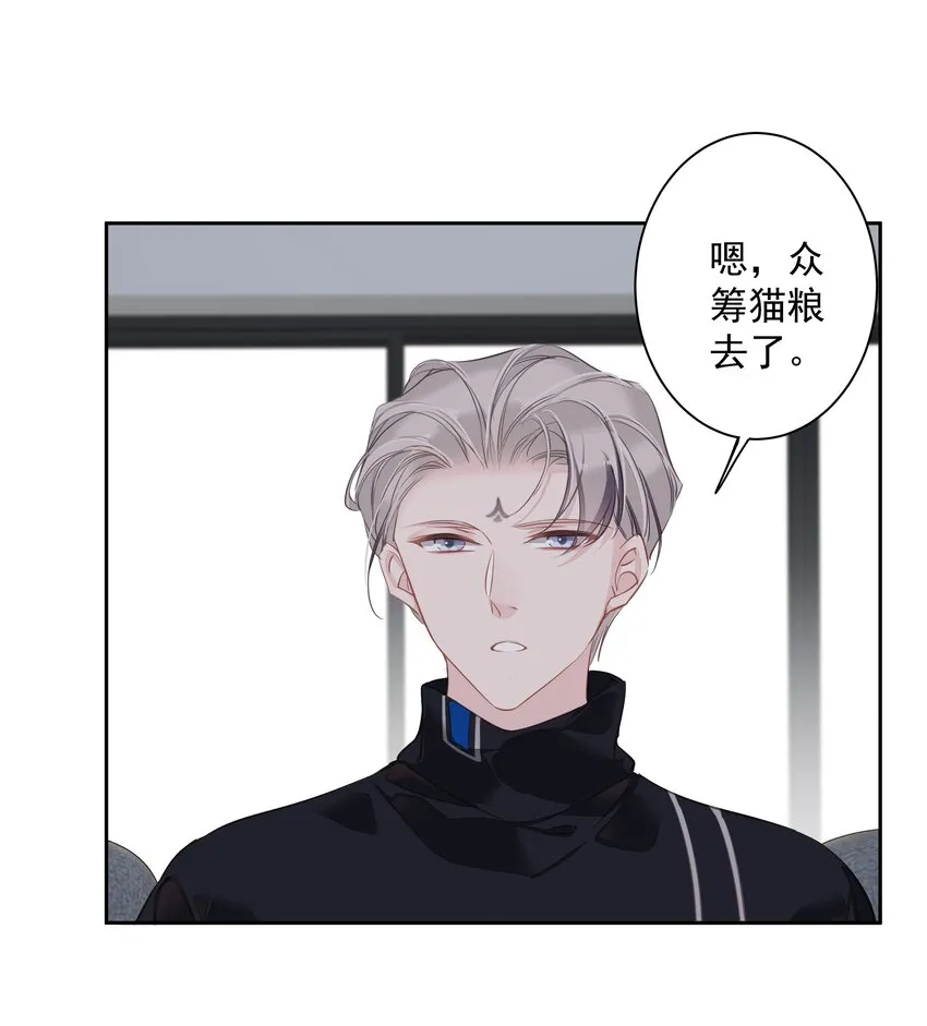 044众筹猫粮 第11页