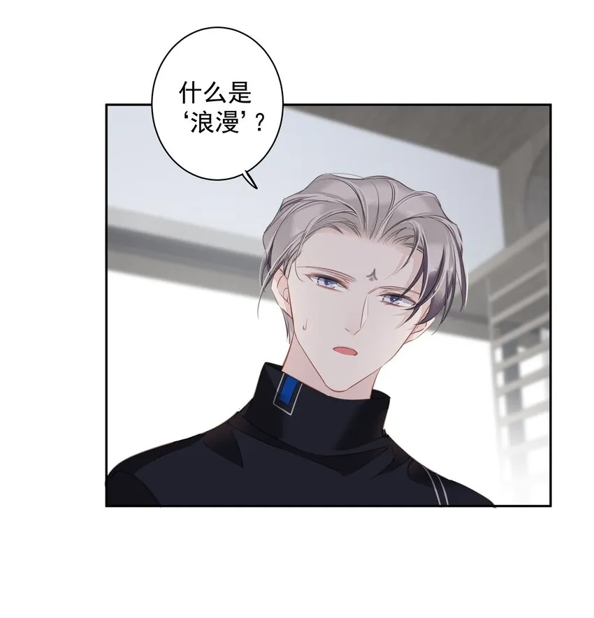 044众筹猫粮 第21页