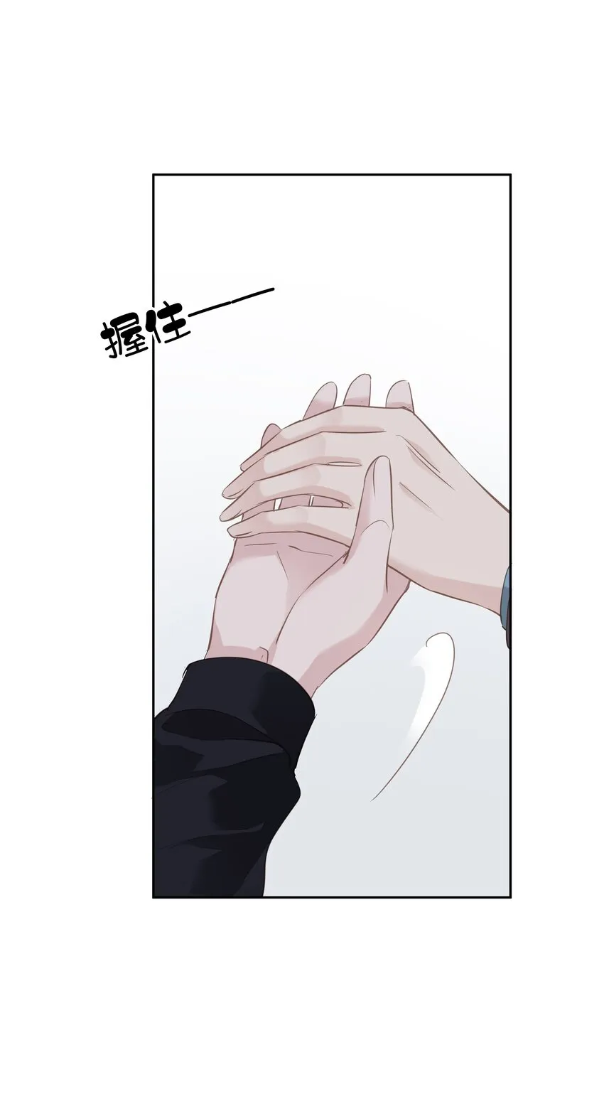 044众筹猫粮 第29页