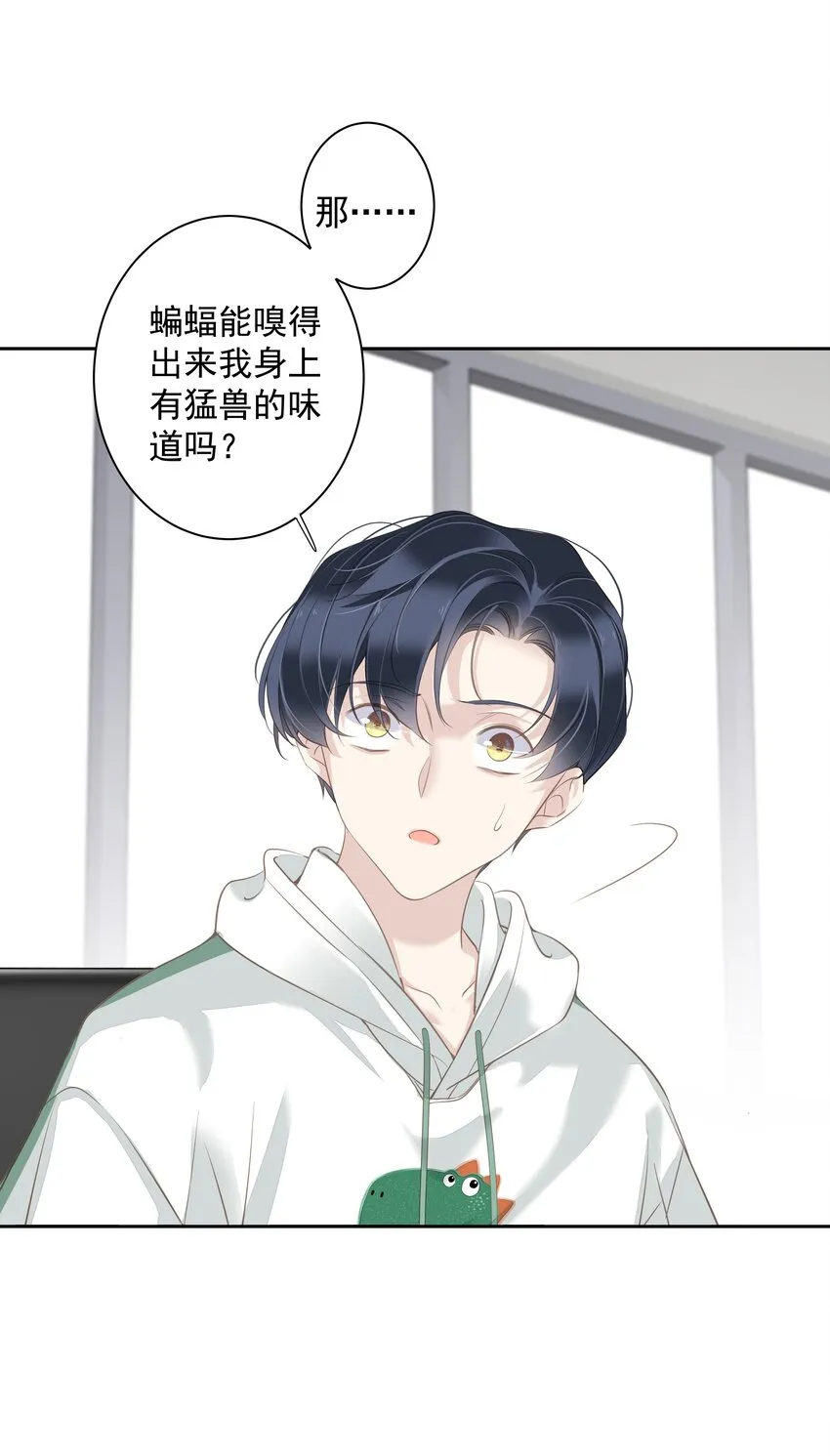 041让脏话猫自己找吃的 第12页