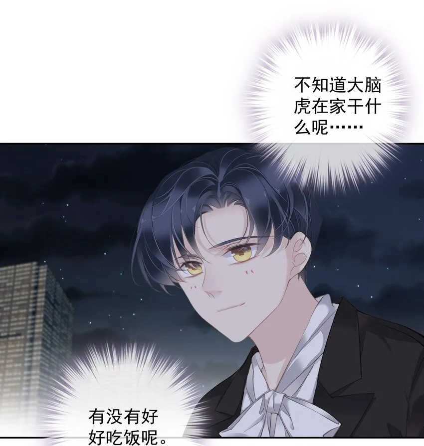 041让脏话猫自己找吃的 第34页