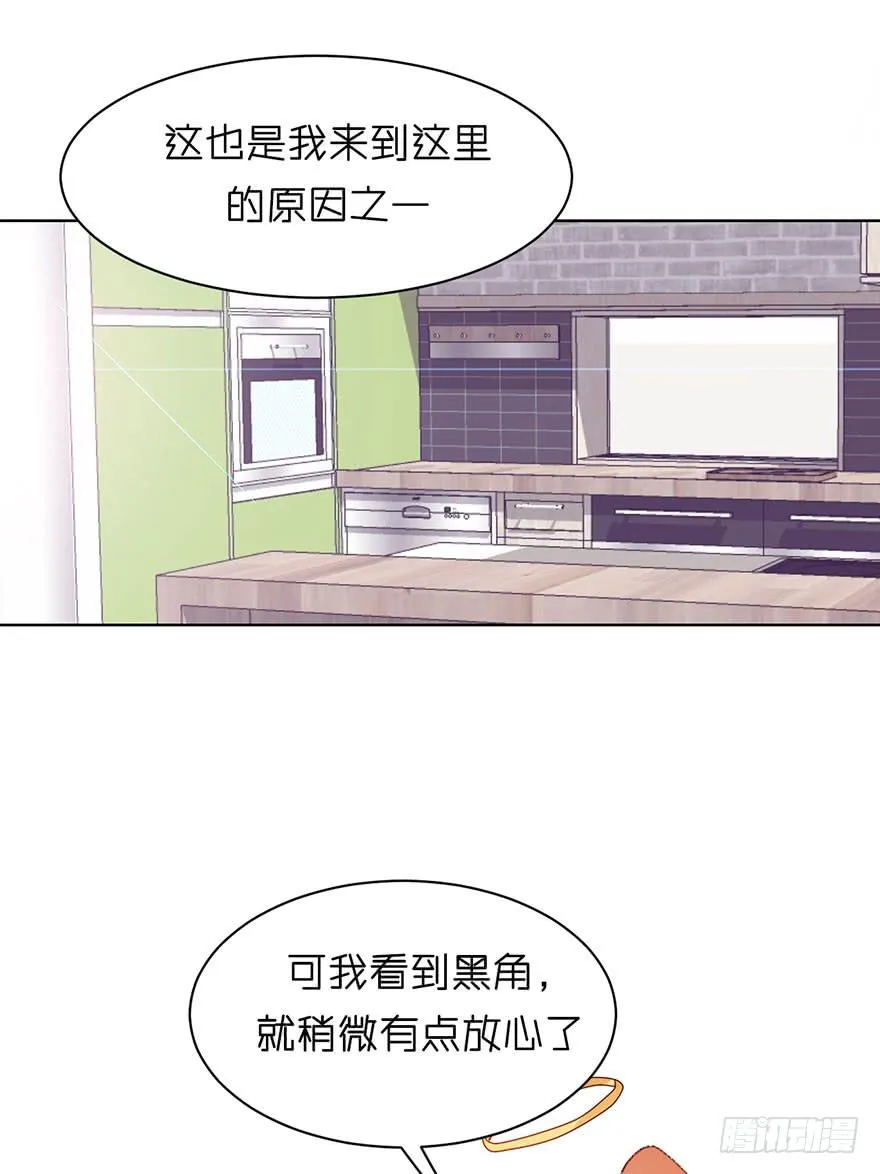 制服白翼的秘密法宝 第25页