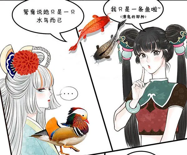 18战斗力 第5页