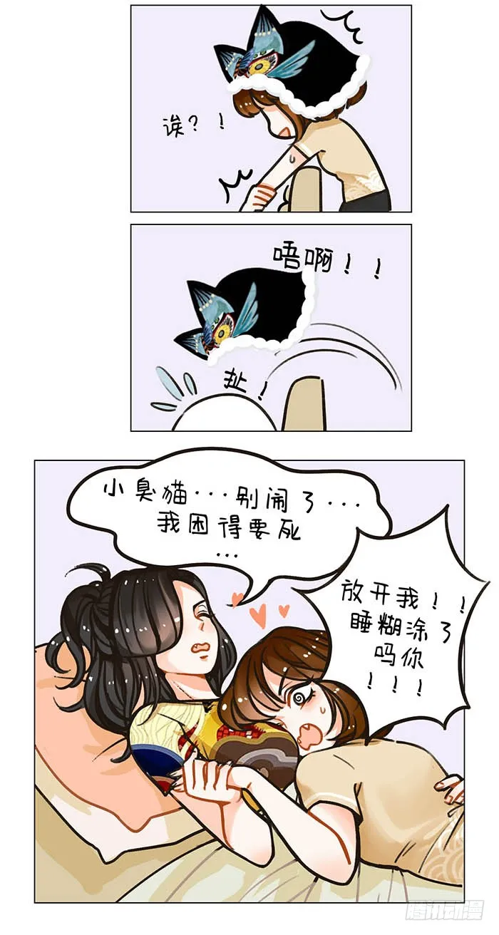 91大猫小猫 第3页