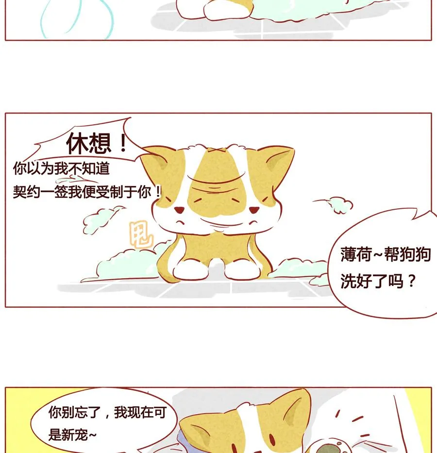 第27话 被赶走了？ 第17页