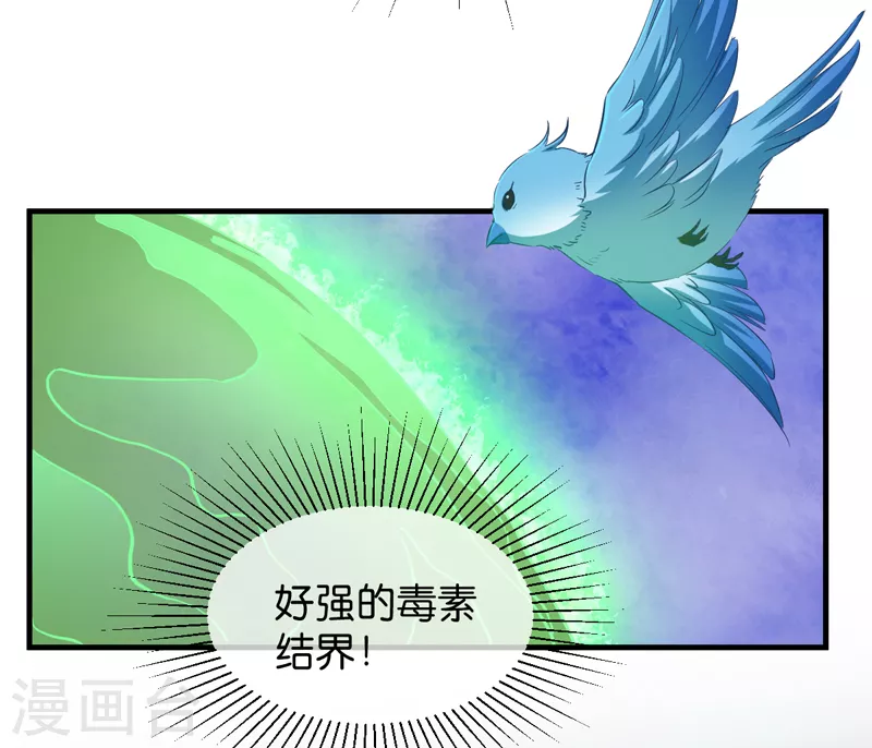 第44话 如意的郎君 第4页