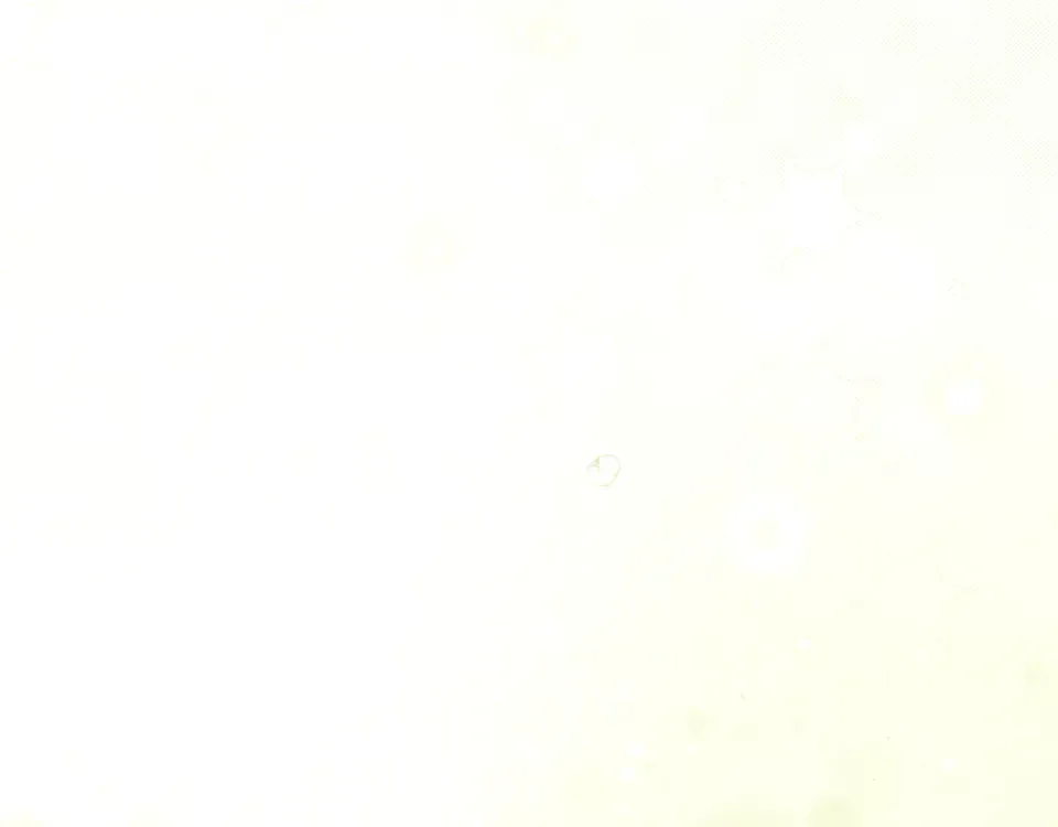 第158话 谈判 第298页