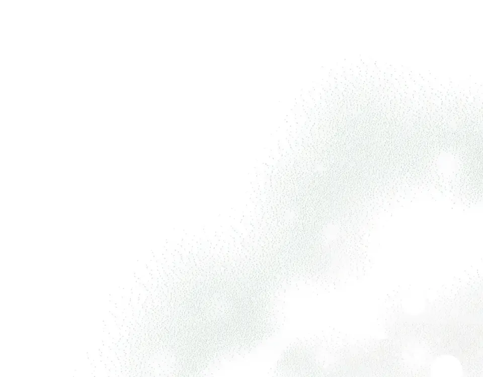 第160话 准备决斗 第46页