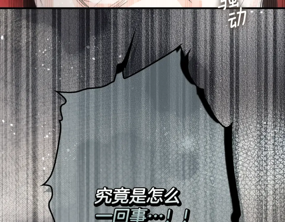 第162话 为荣誉而战 第9页
