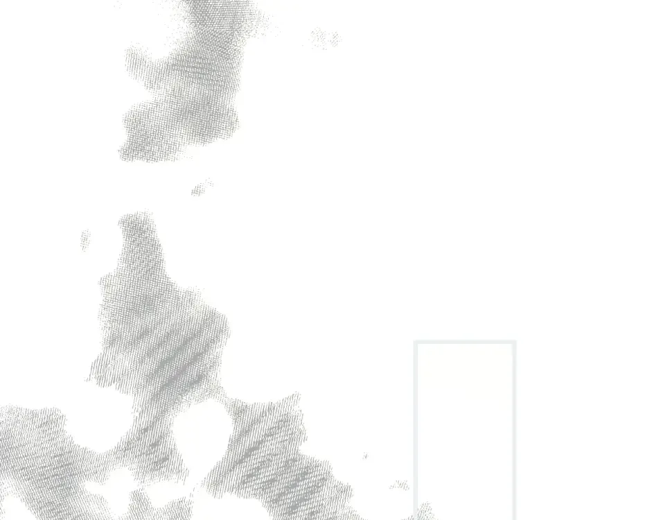 第162话 为荣誉而战 第76页