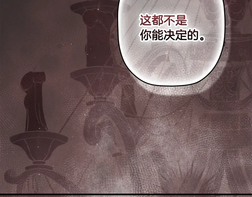 第162话 为荣誉而战 第113页