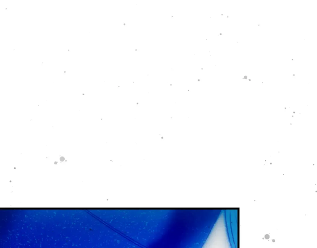 第164话 比生命更重要 第179页