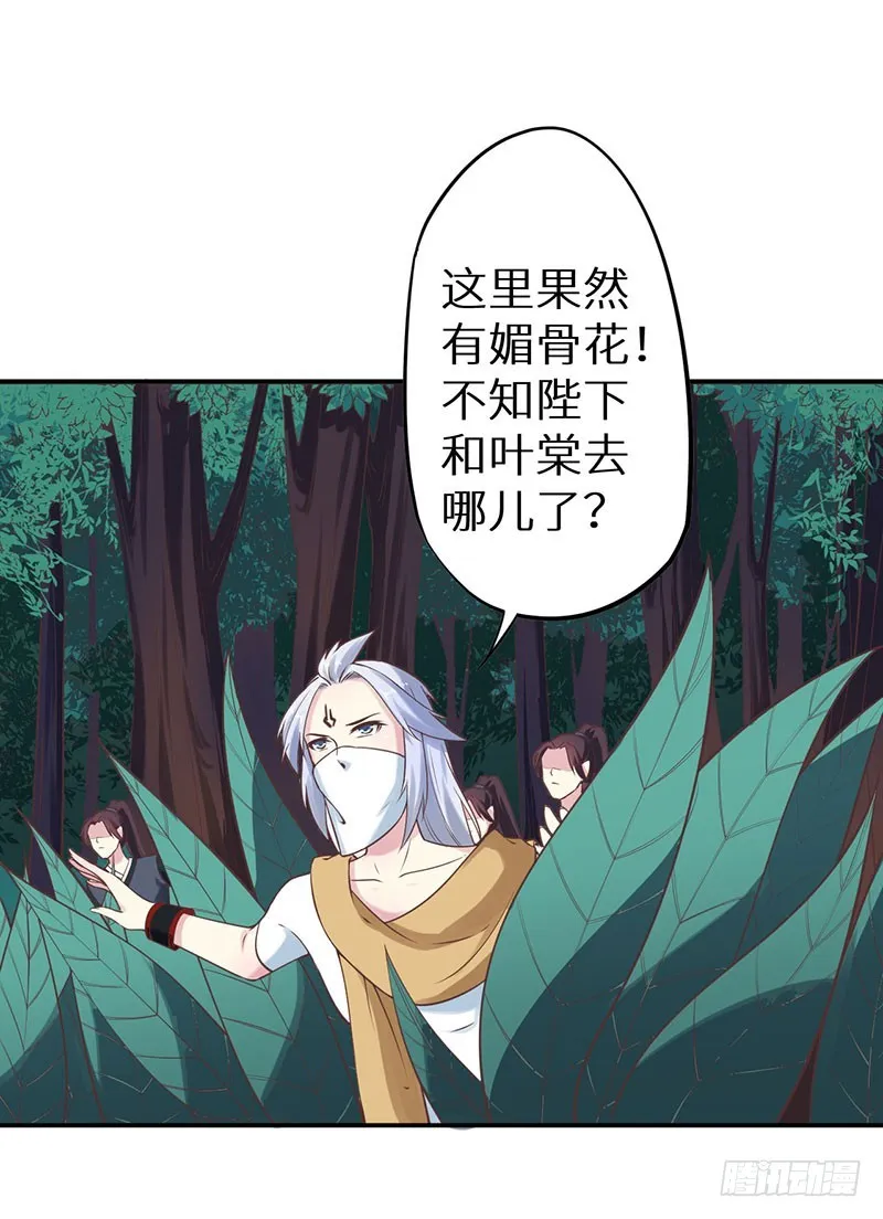 122媚骨花 第42页