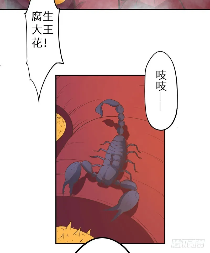 121鬼奠果没了？ 第17页