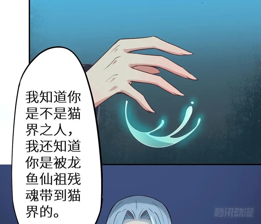 119猫神记忆碎片 第11页