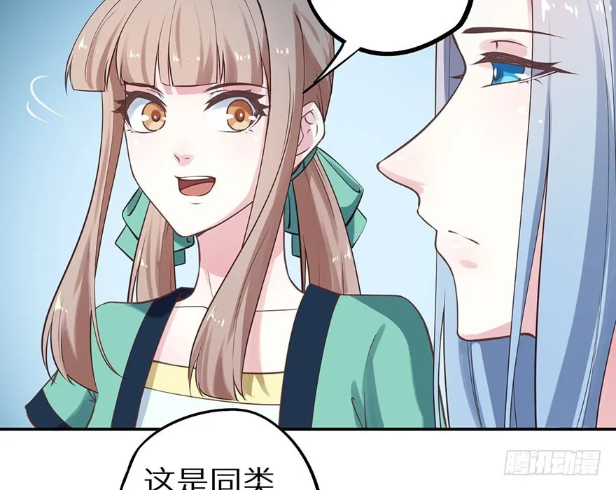 119猫神记忆碎片 第16页