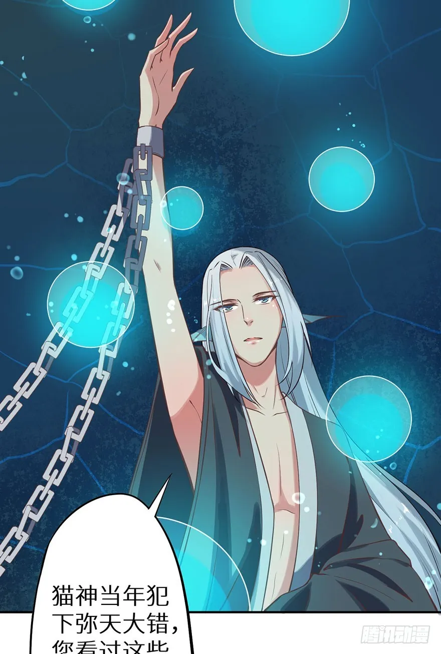 119猫神记忆碎片 第20页