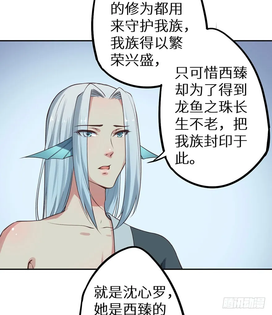 119猫神记忆碎片 第33页