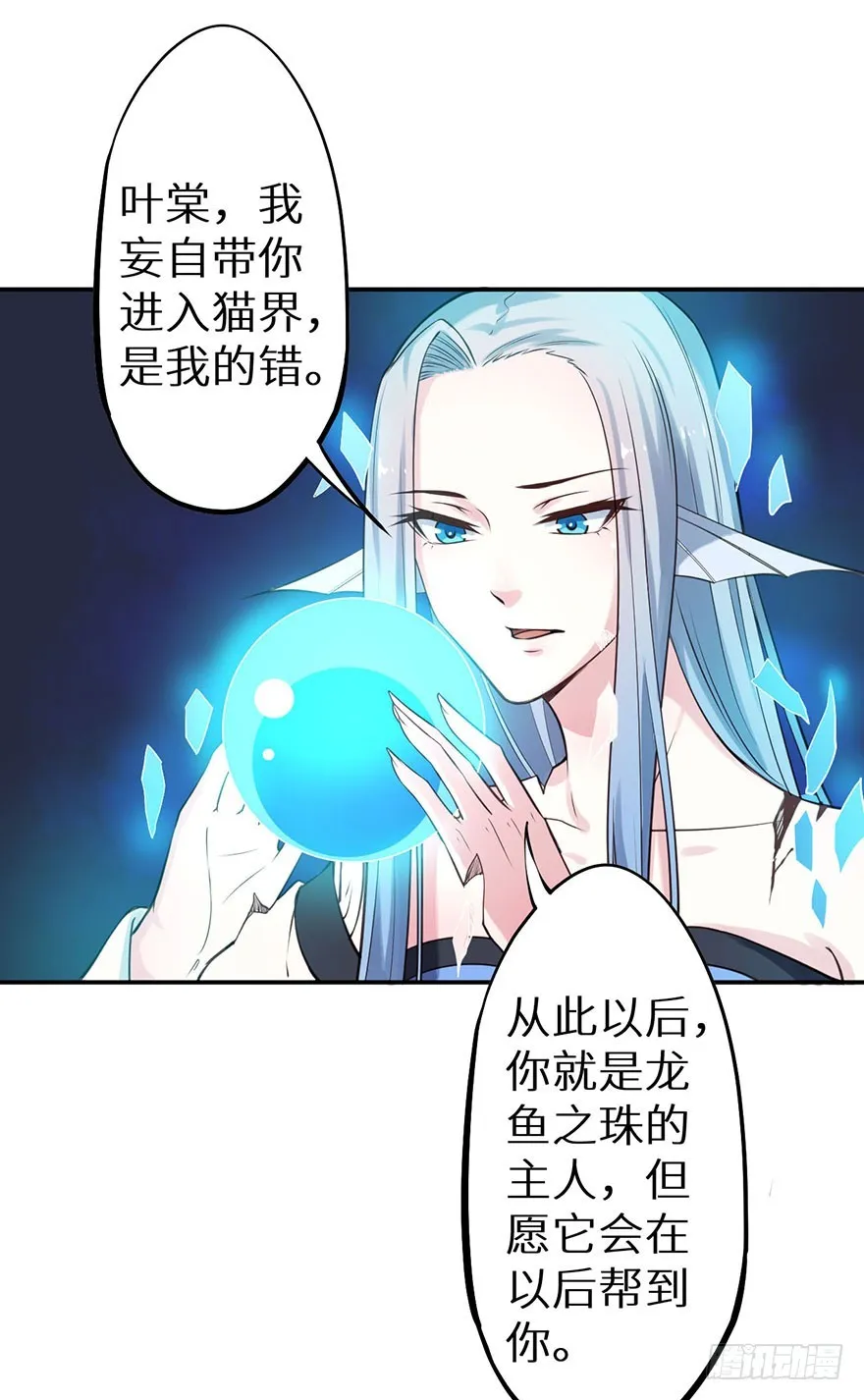 119猫神记忆碎片 第41页