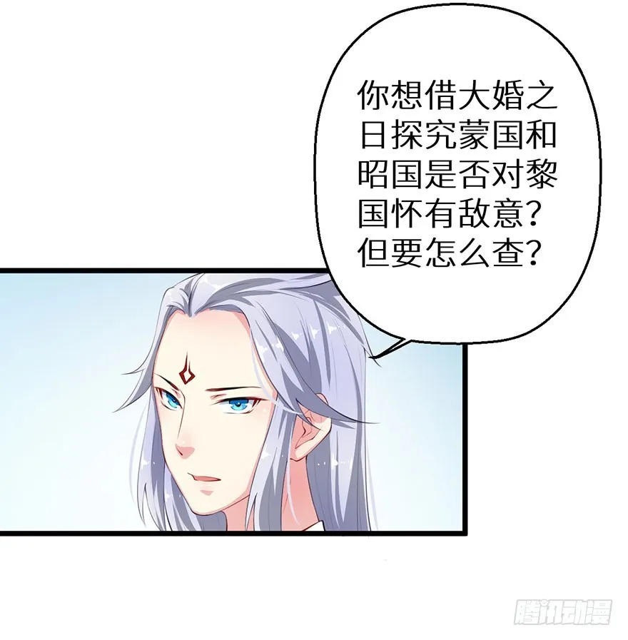 054大婚前夕 第30页