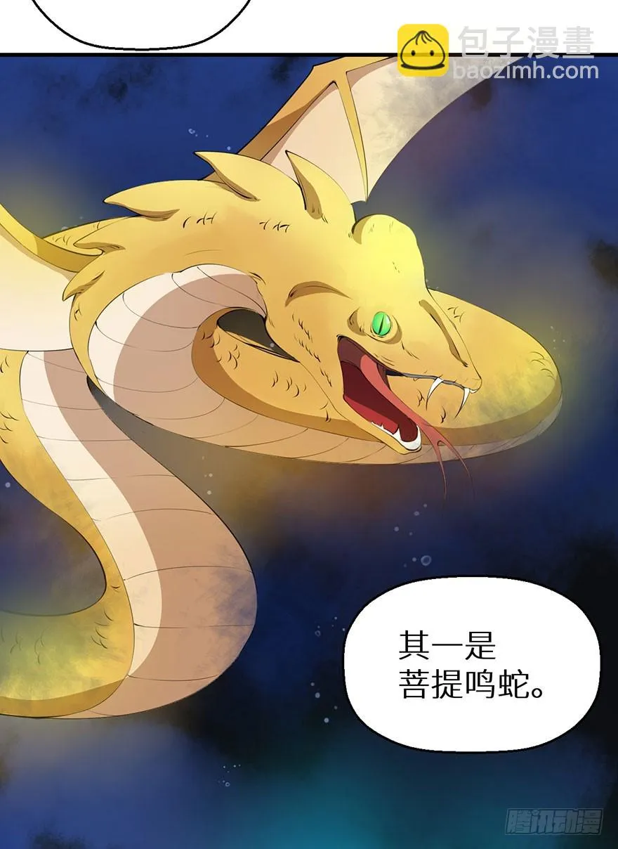 065胎毒的解药？ 第15页