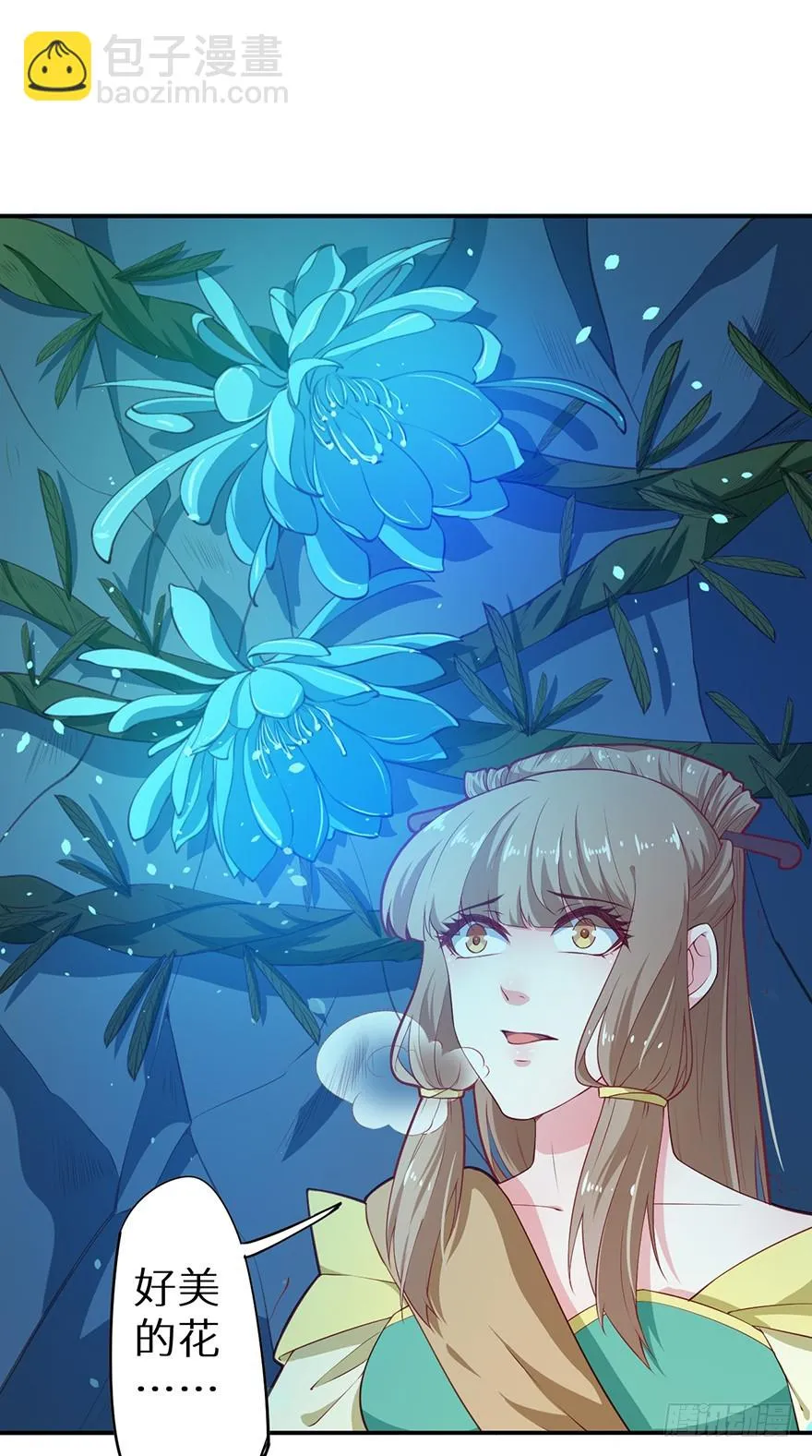 087琉璃昙花 第16页