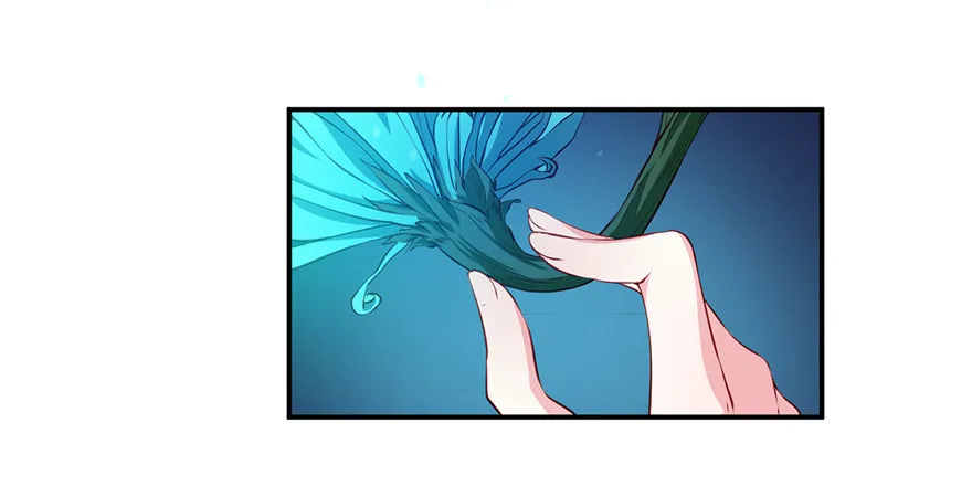 087琉璃昙花 第20页