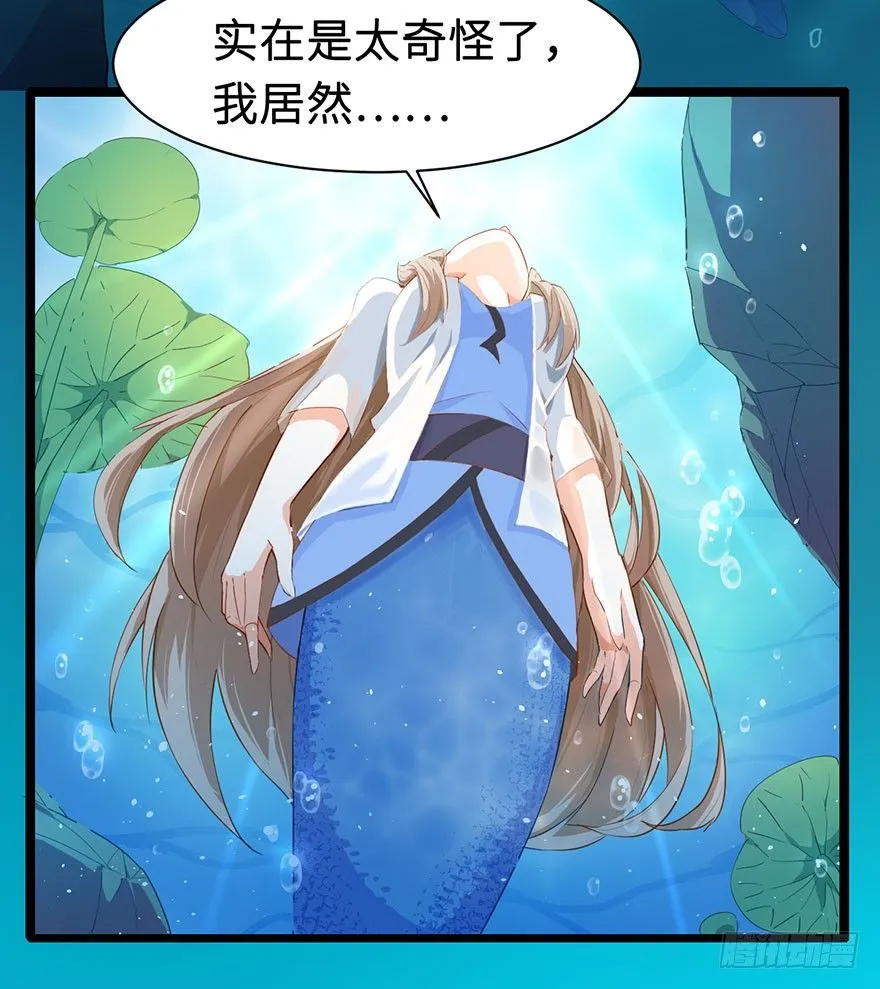 002香气诱猫的美人鱼 第4页