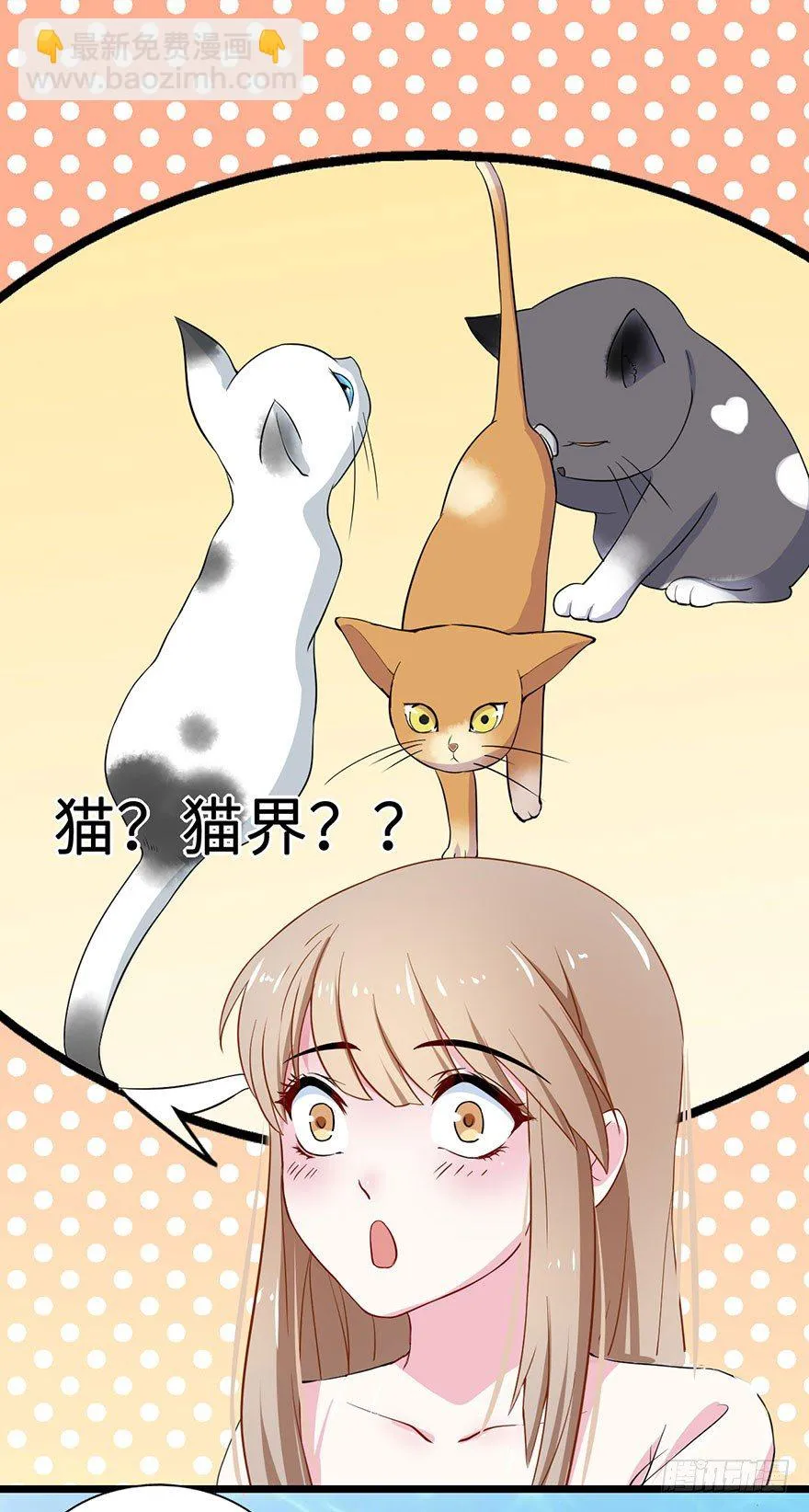 002香气诱猫的美人鱼 第13页
