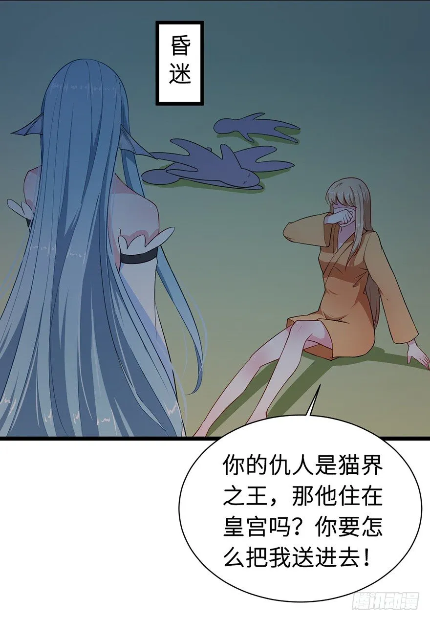 004悲催的叶棠 第17页