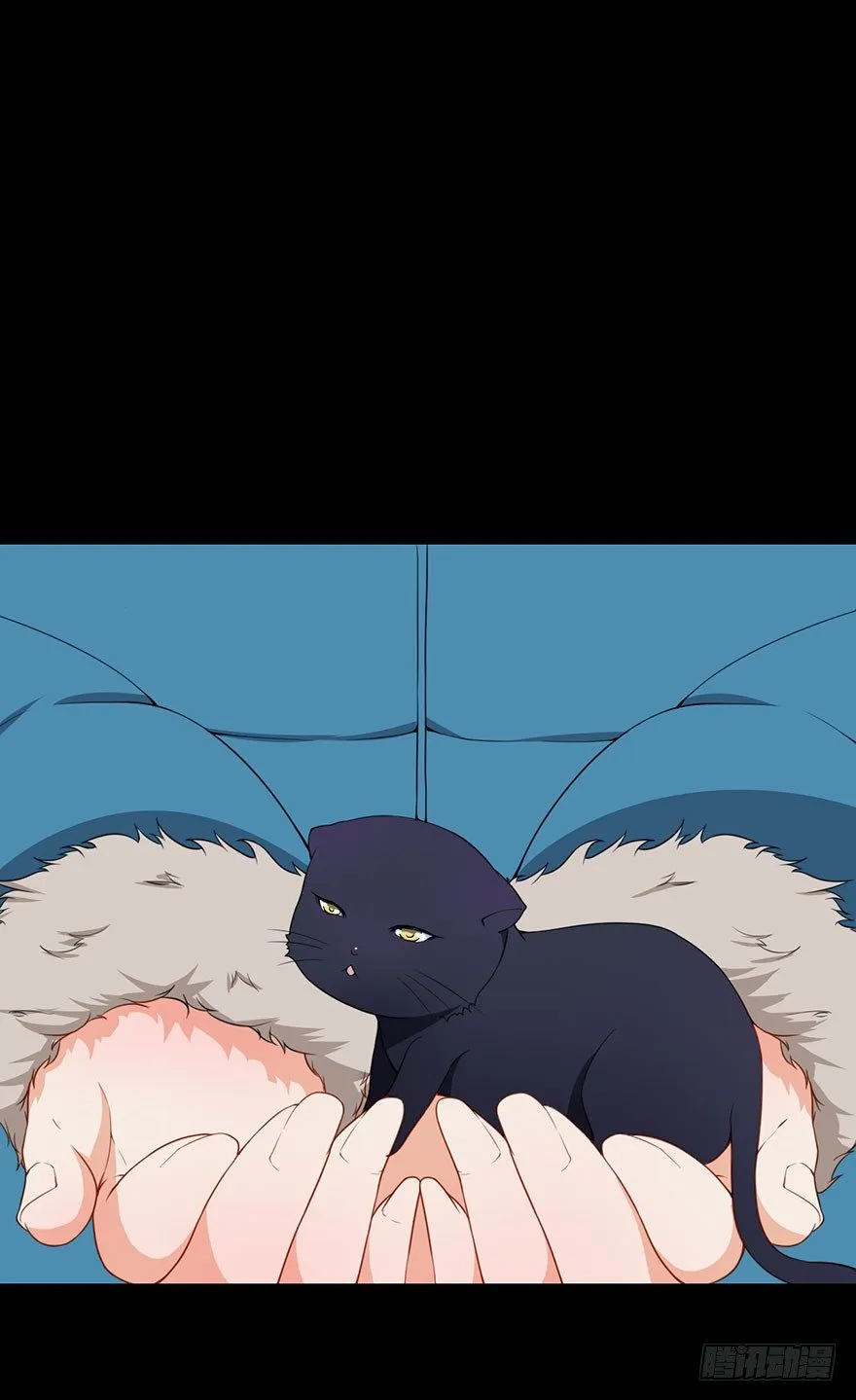010猫奴的前世记忆 第18页