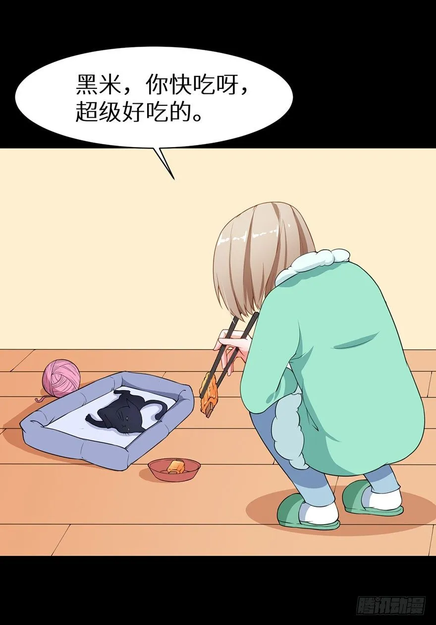 010猫奴的前世记忆 第21页