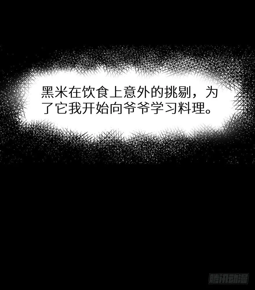 010猫奴的前世记忆 第31页