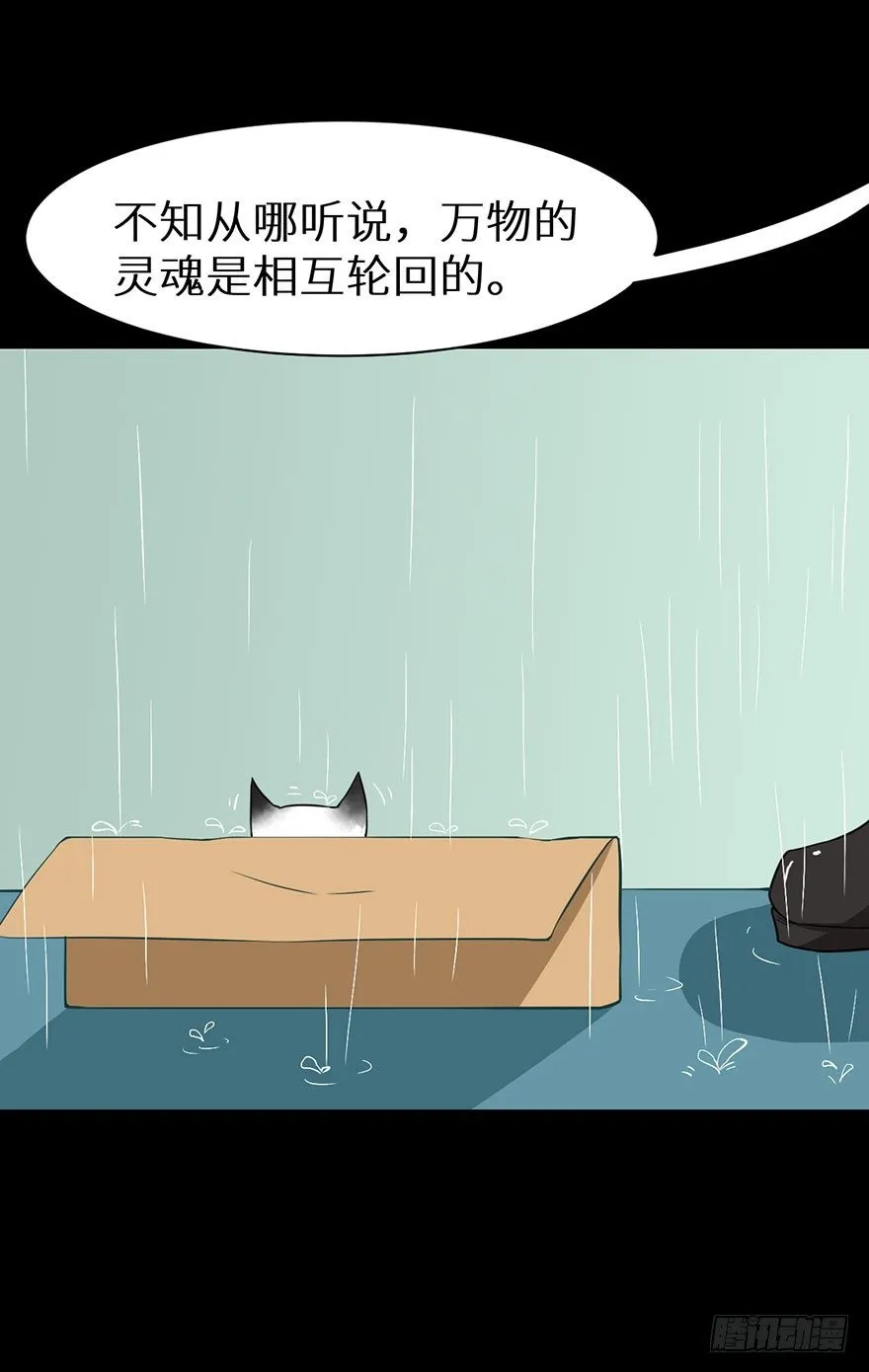 010猫奴的前世记忆 第45页