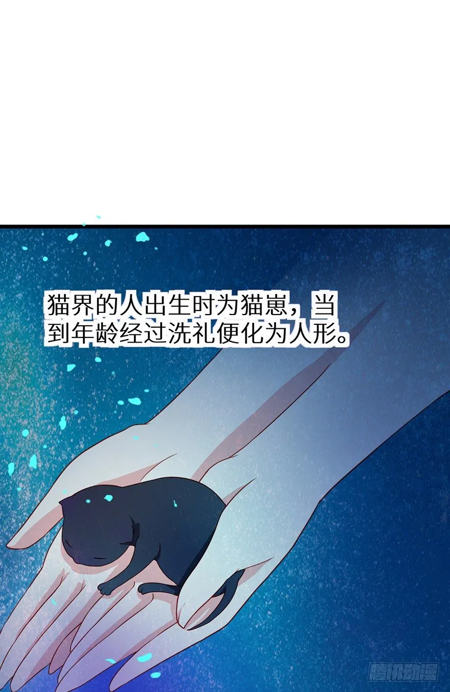 012幻术没奏效？！ 第12页