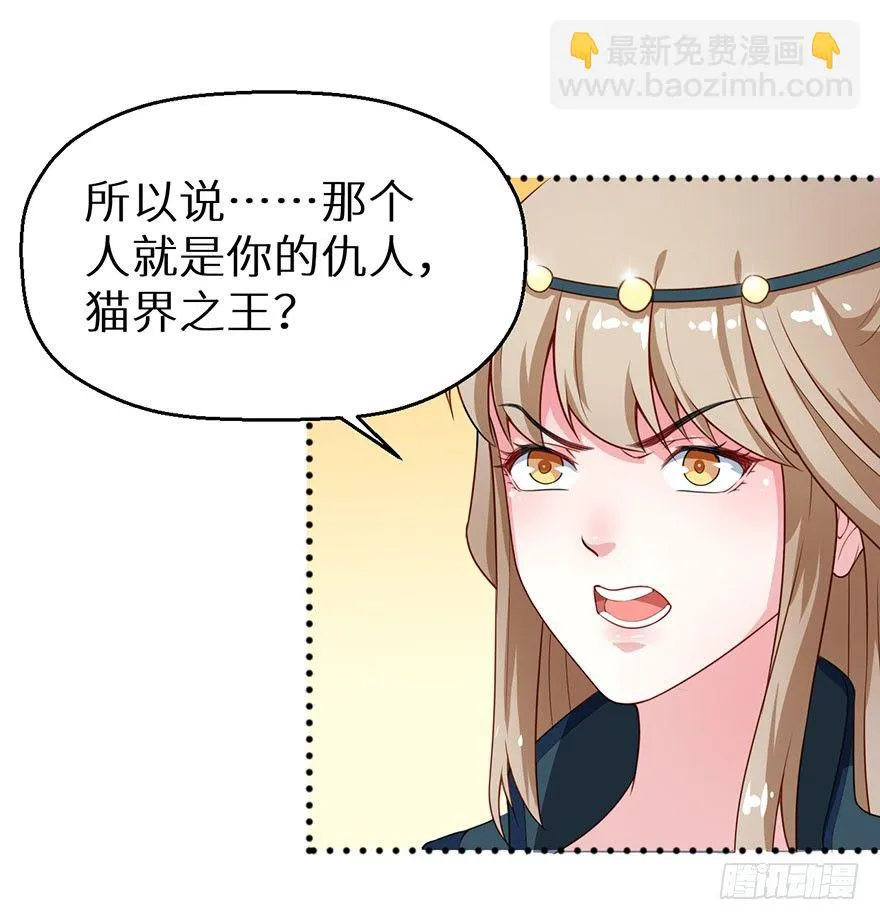 014九尾猫神 第36页