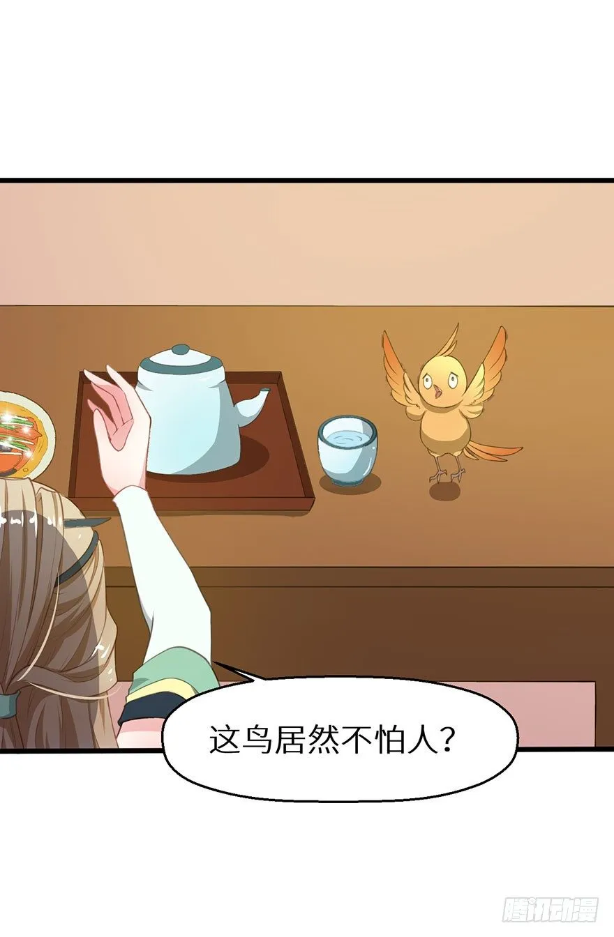 019送礼物的小鸟 第37页