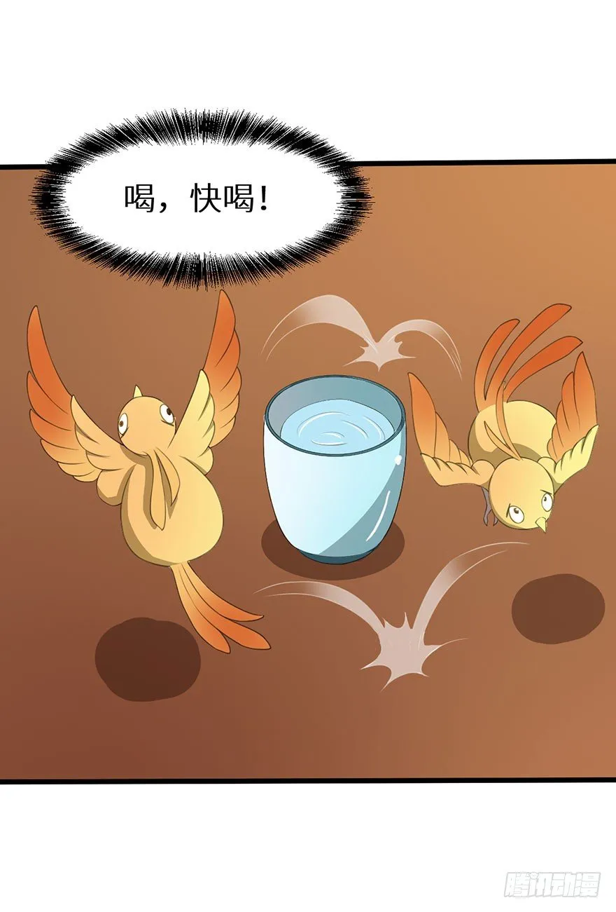019送礼物的小鸟 第38页