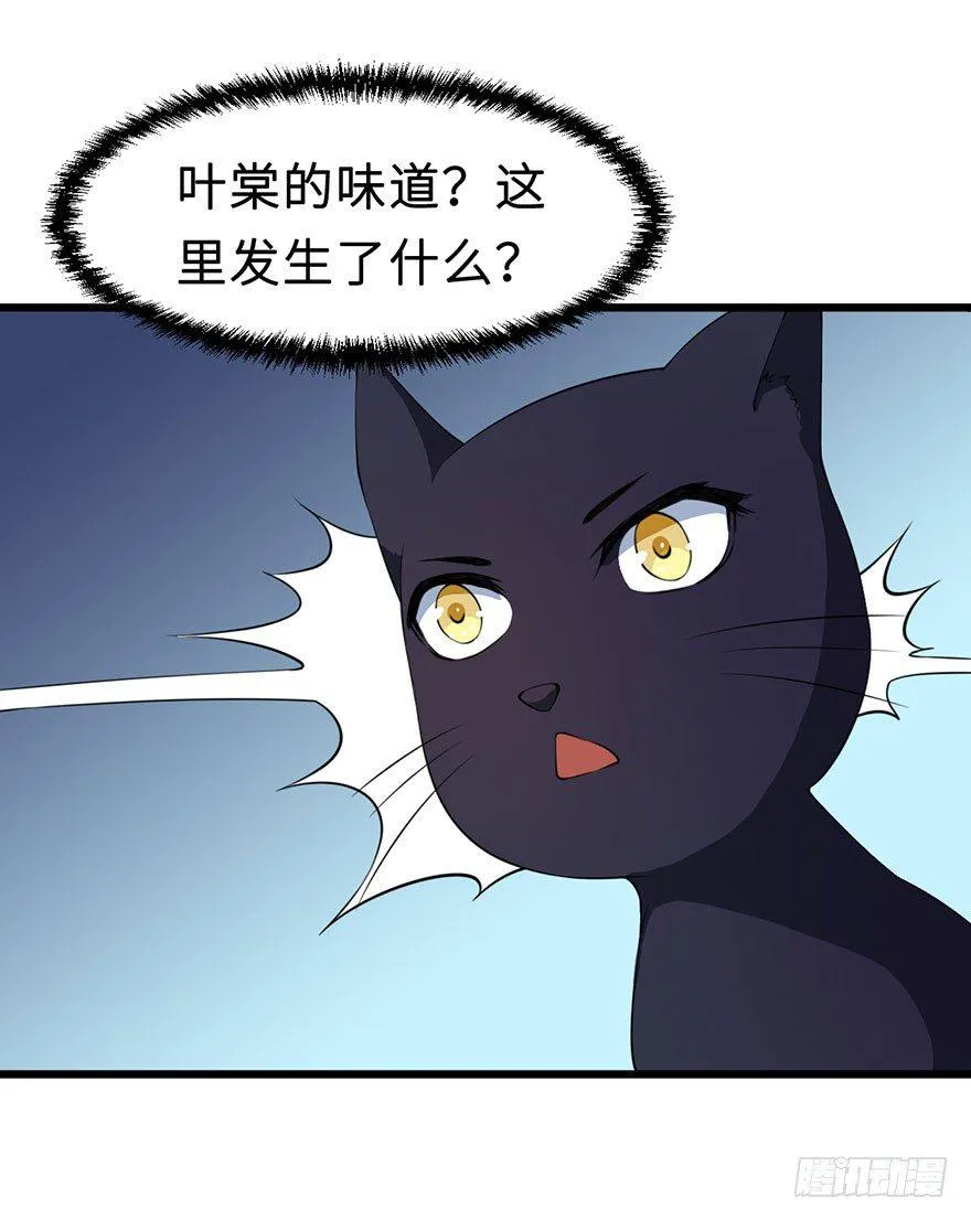 028爱猫不爱人 第6页