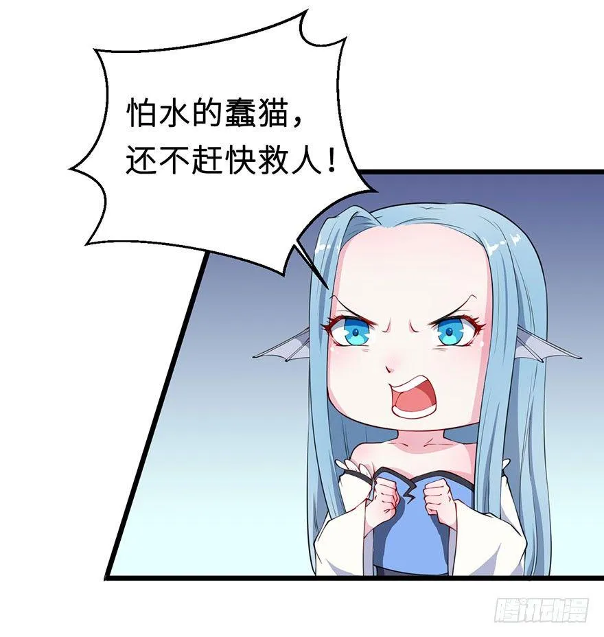 028爱猫不爱人 第12页