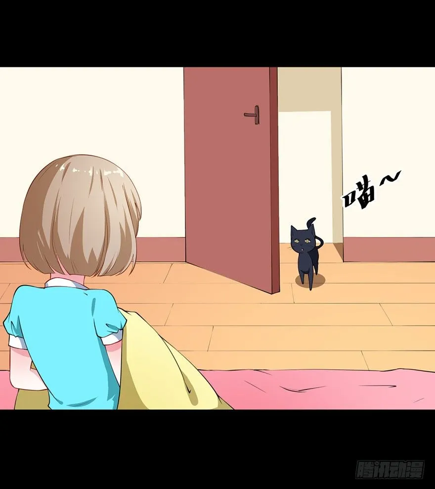 028爱猫不爱人 第20页