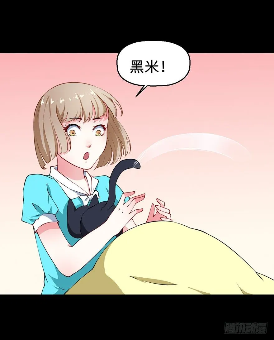 028爱猫不爱人 第21页