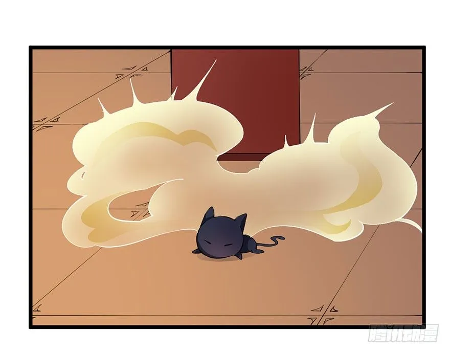 028爱猫不爱人 第35页