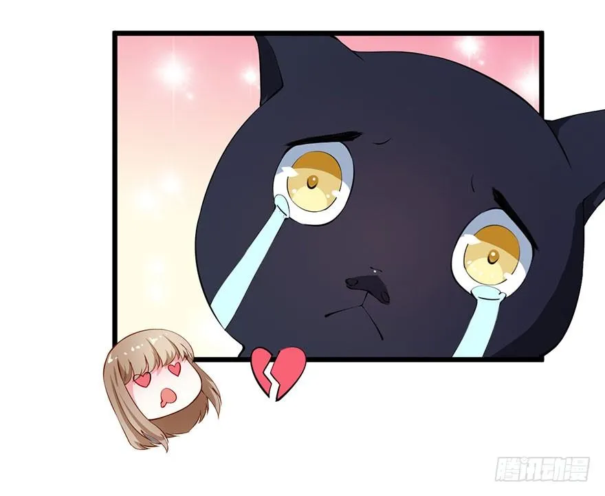 028爱猫不爱人 第36页