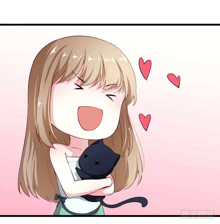 028爱猫不爱人 第37页