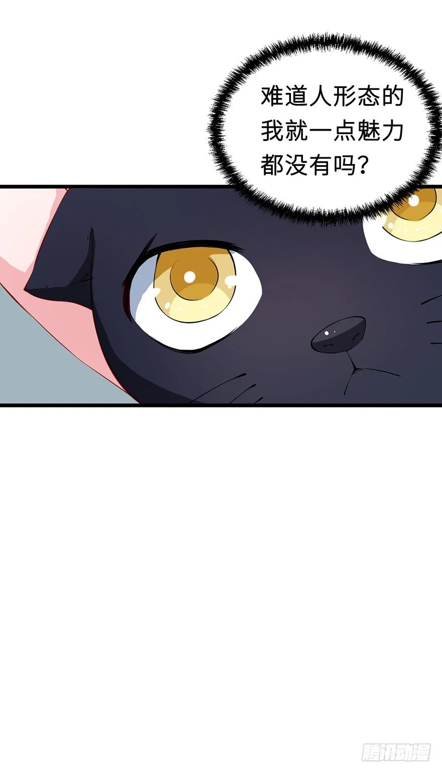 028爱猫不爱人 第39页