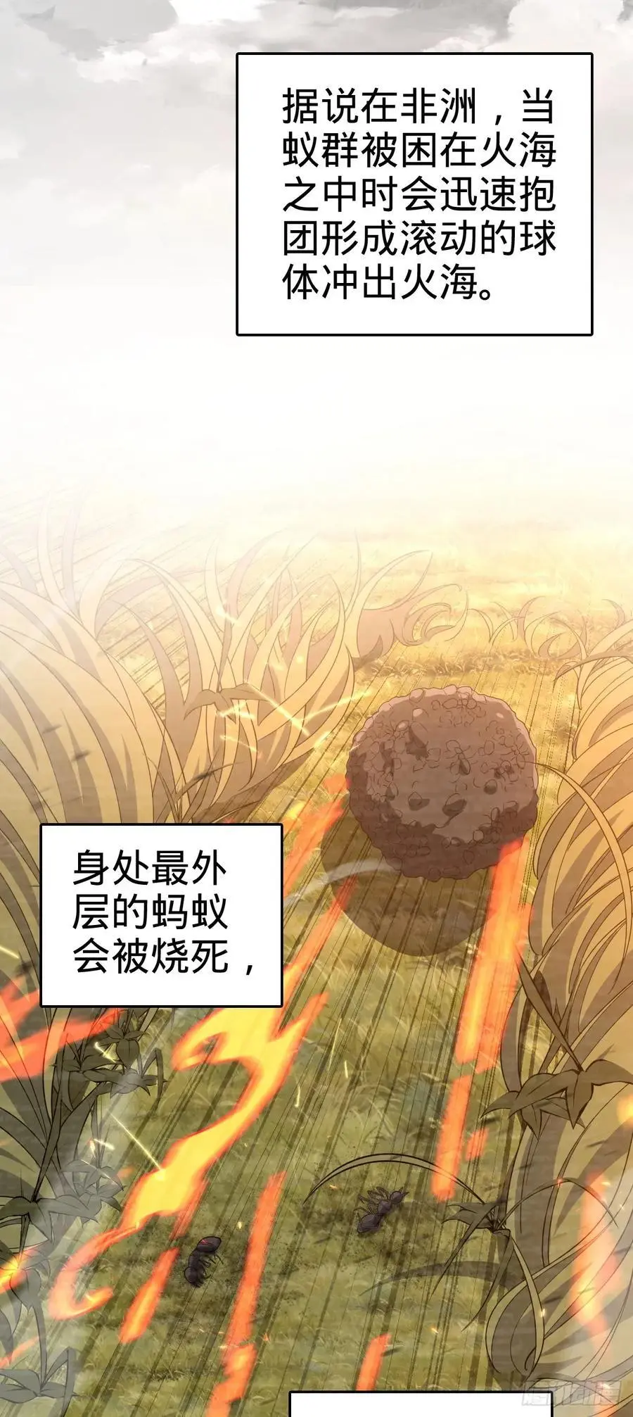 875 刺杀 第15页