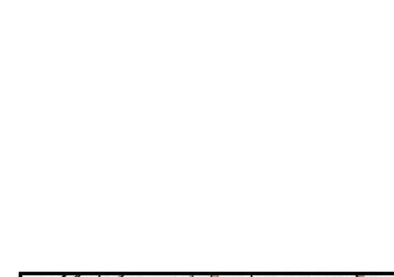 第948话 番外24 卡洛儿画本《跟我走》 第58页